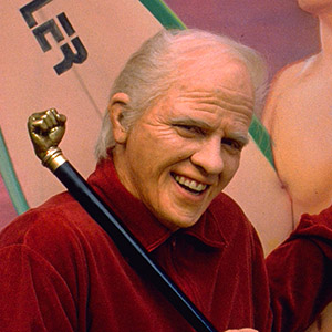 Tom Wilson as Biff Tannen
